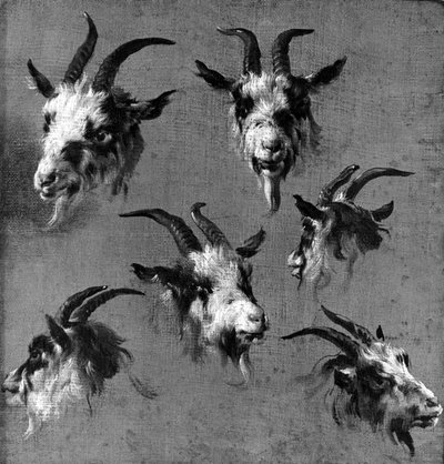 山羊の頭の6つの研究 作： Nicolaes Pietersz. Berchem
